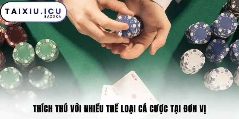 Thích thú với nhiều thể loại cá cược tại đơn vị